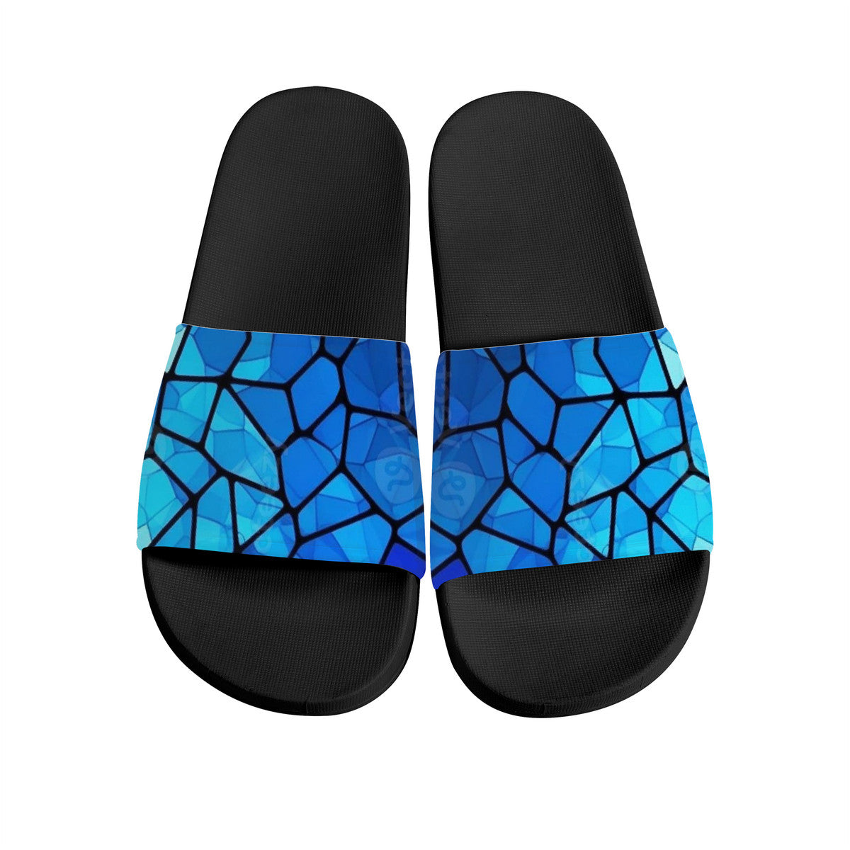 Black & Blue Reptile Slides