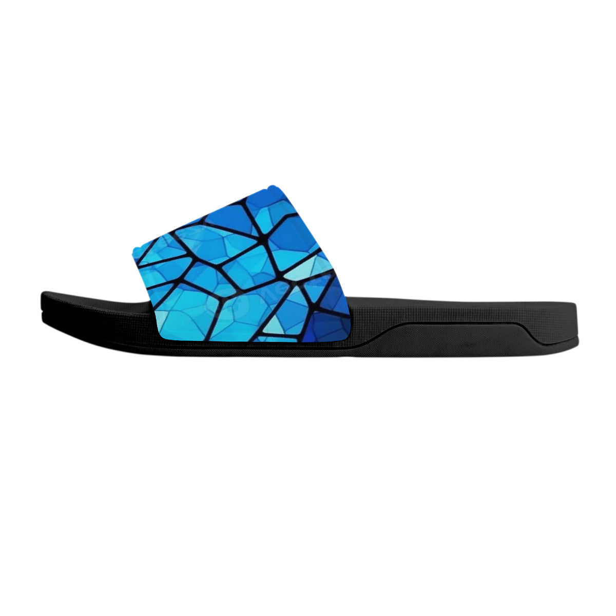 Black & Blue Reptile Slides