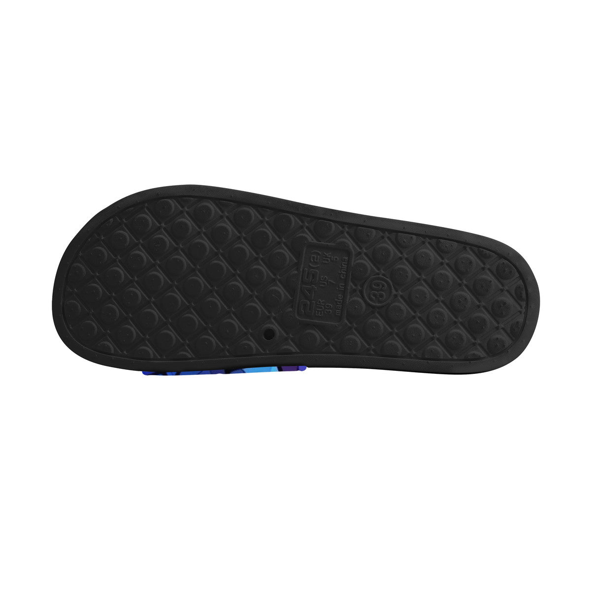 Black & Blue Reptile Slides