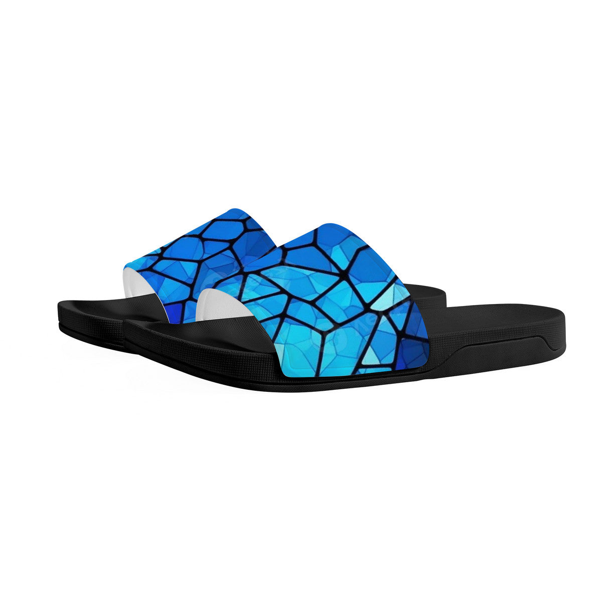 Black & Blue Reptile Slides