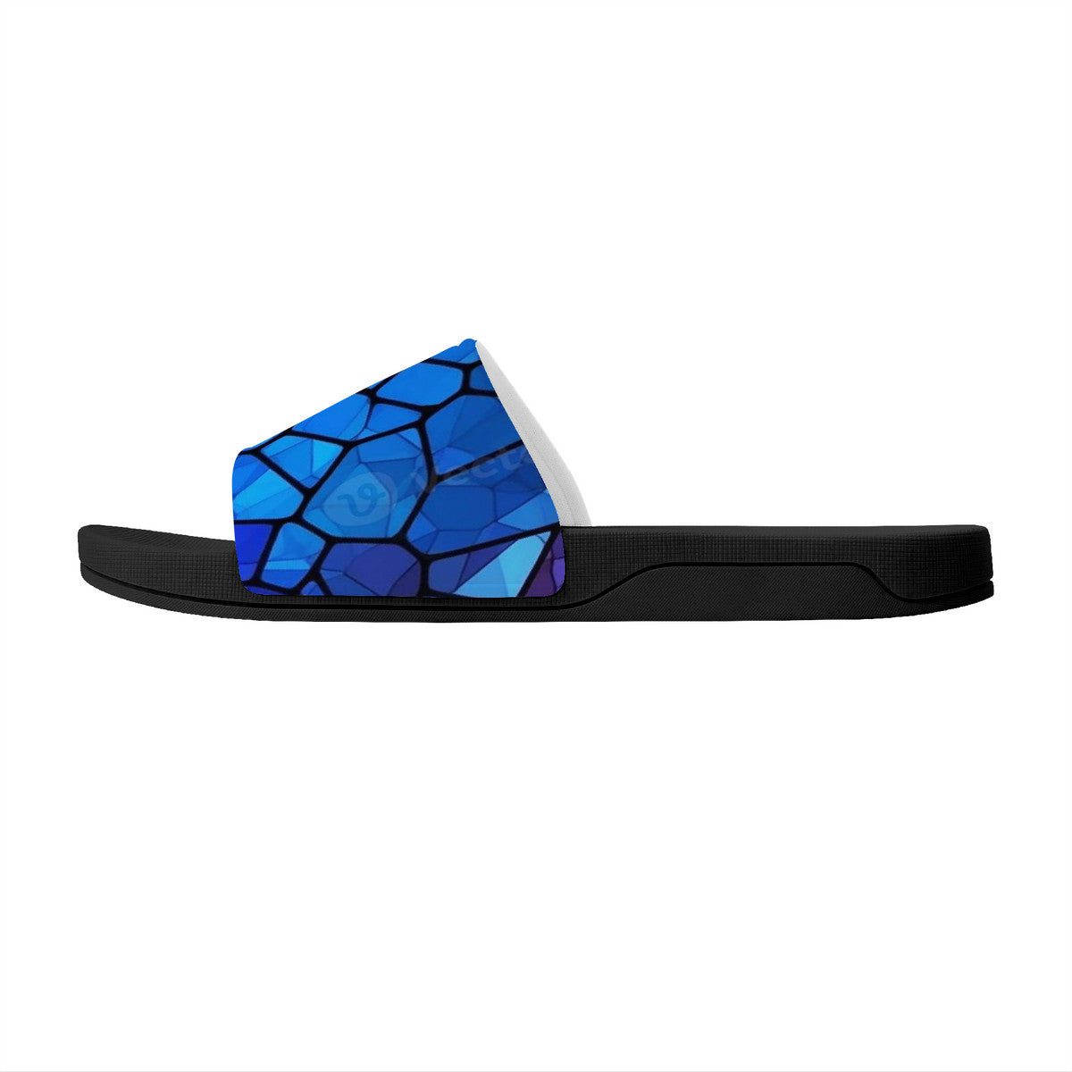 Black & Blue Reptile Slides