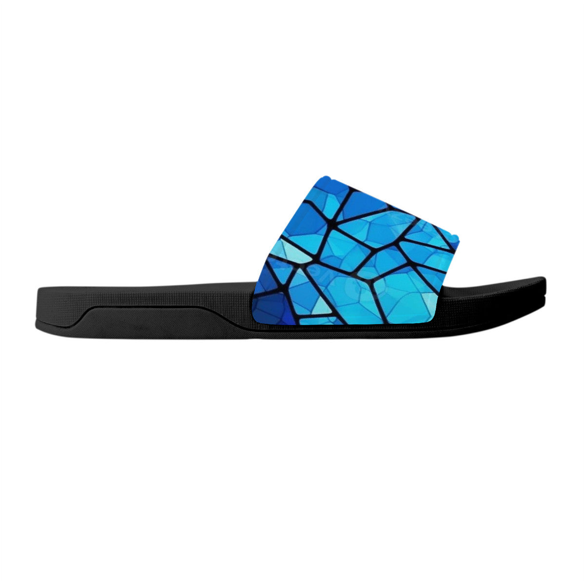 Black & Blue Reptile Slides